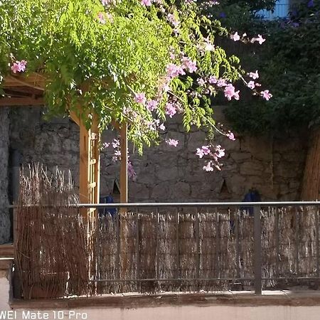 Appartement Avec Jardin Privatif Centre Ville Hyeres Exterior photo